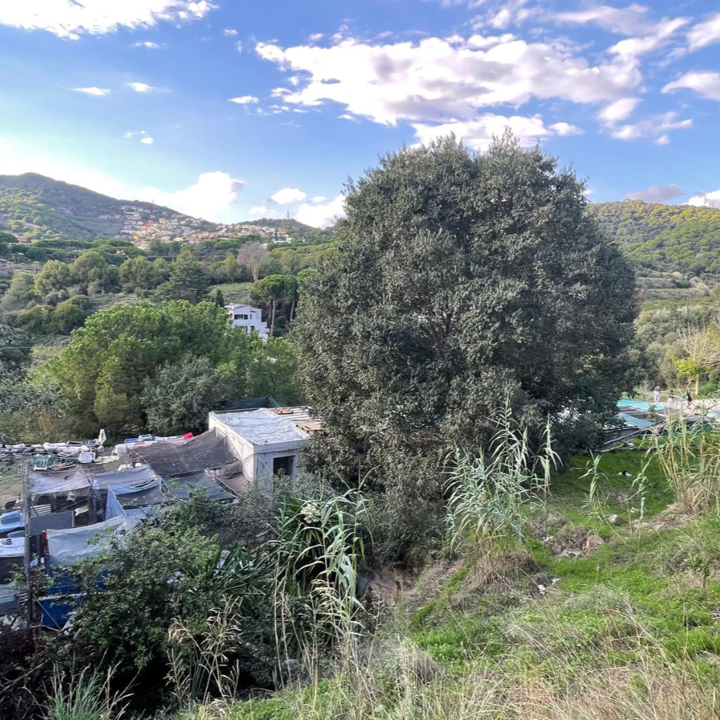 ADANA Alella: 26 anys cuidant dels qui no tenen veu