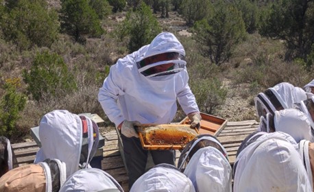 Mel crua d'autor: un viatge sensorial per Espanya amb Jalea de la Luz